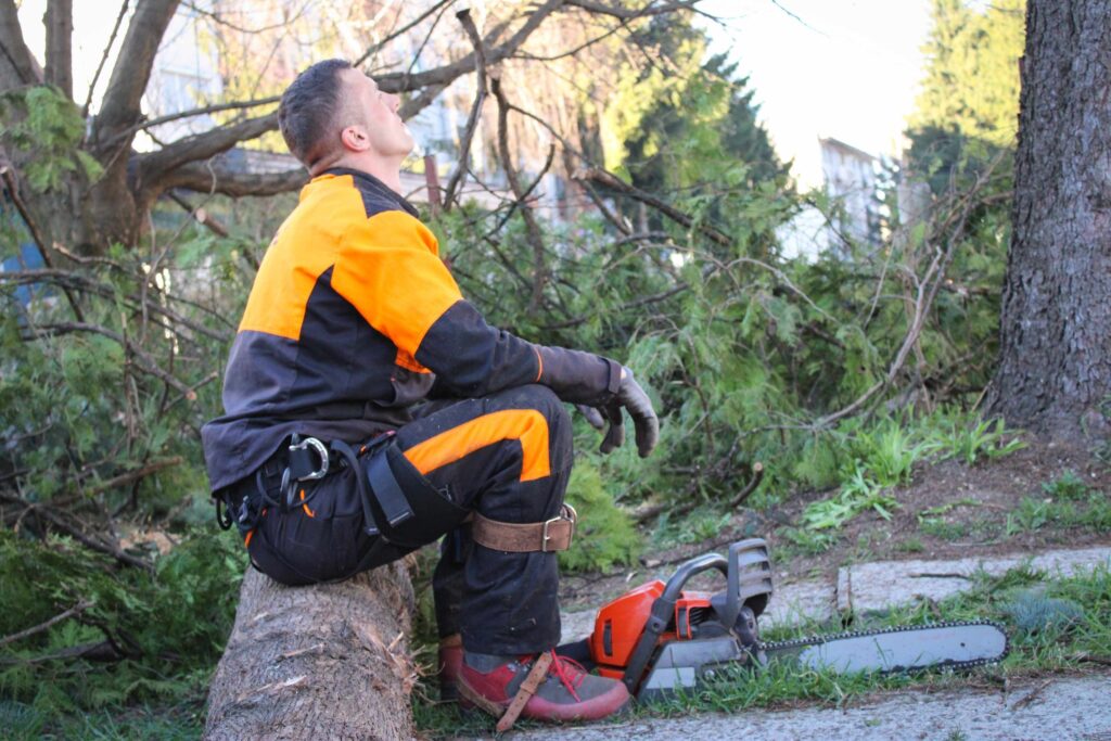 Potential Tree Pruning Services