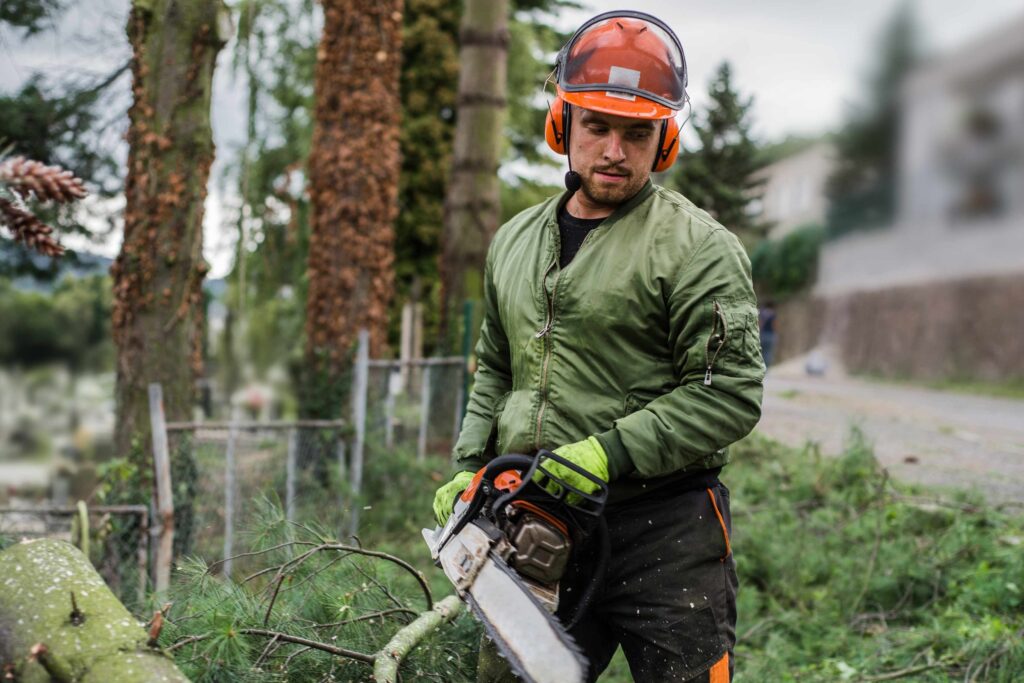 Importance of Tree Pruning