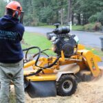 stump grinding