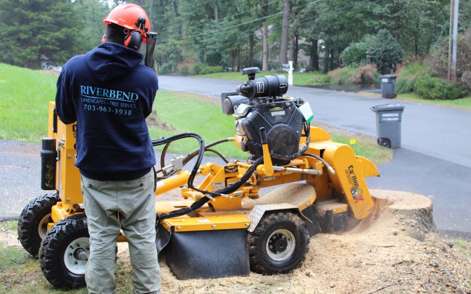 stump grinding