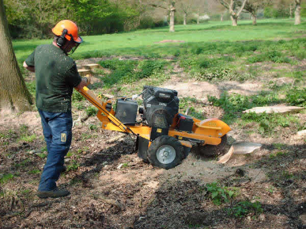 stump grinding