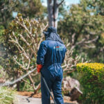 Best Pest Control Sydney: Top-Rated Services for Every Pest Problem