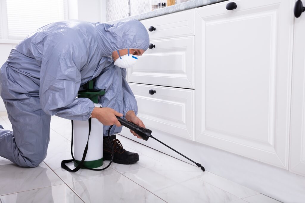 Pest Inspections Sydney: Why They’re Crucial for Homeowners and Buyers