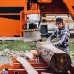 stump grinding