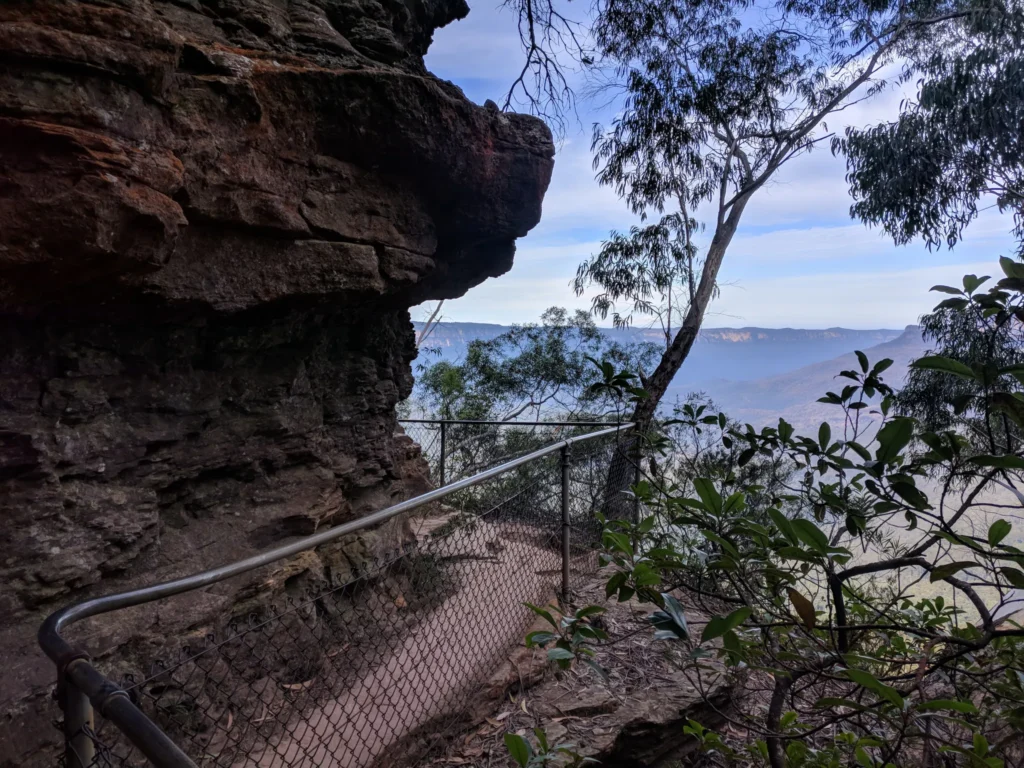 Tree Removal Blue Mountains: The Strictest Rules in Sydney, and How to Work With Them