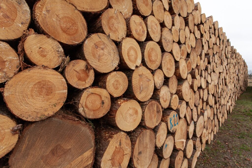 Firewood Sydney: How to Buy Well, Burn Clean, and Not Get Ripped Off