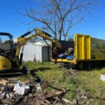 Tree Removal Blue Mountains: The Strictest Rules in Sydney, and How to Work With Them