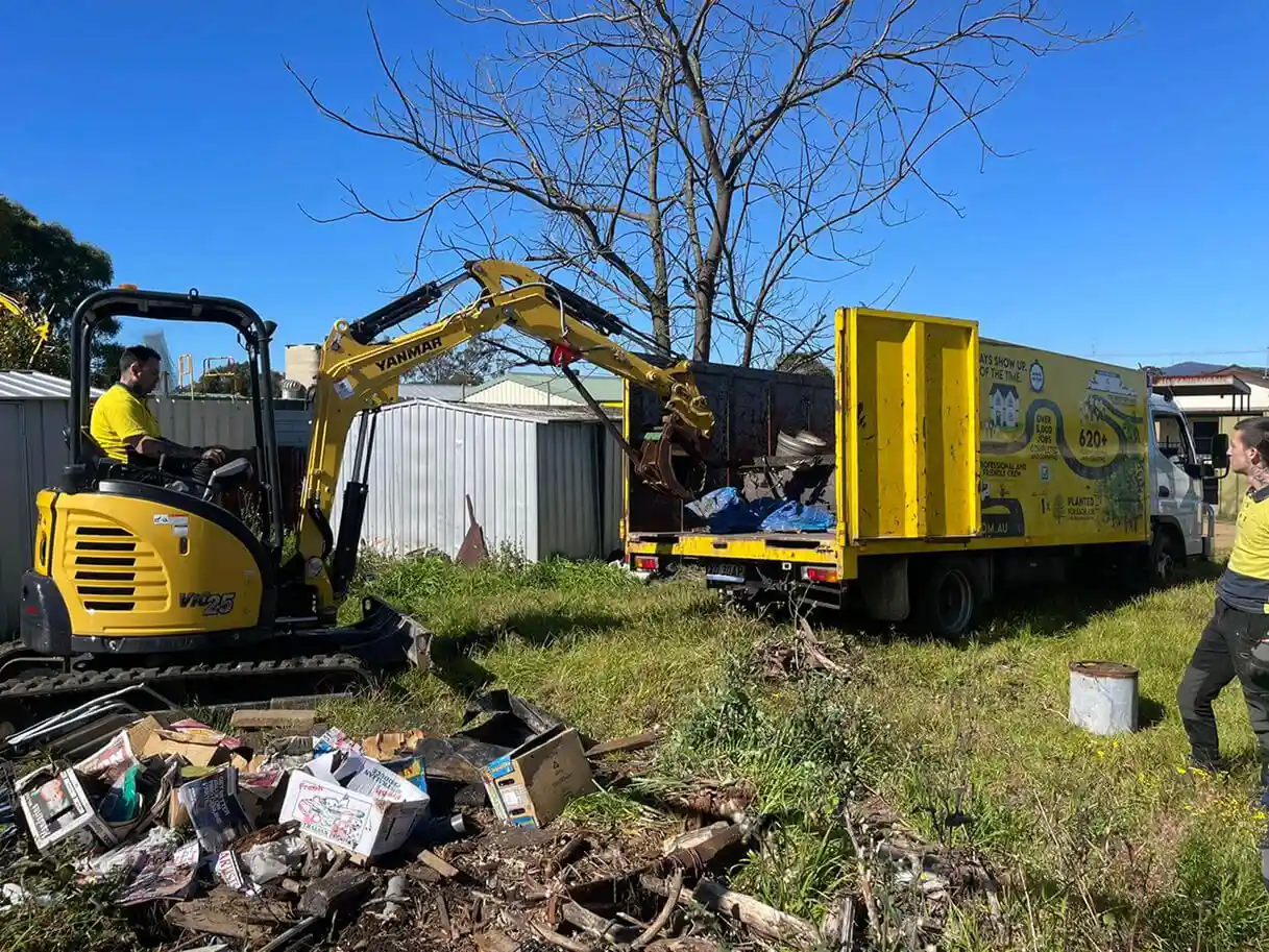 Tree Removal Blue Mountains: The Strictest Rules in Sydney, and How to Work With Them